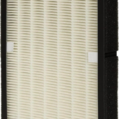 Fakir Vita Uyumlu Yedek Filtre (HEPA + Karbon)