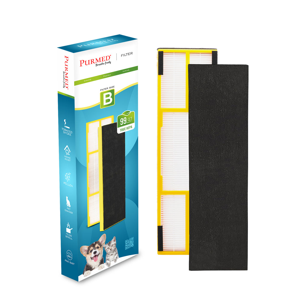 Germ Guardian FLT4825 Uyumlu Yedek HEPA Filtre Seti